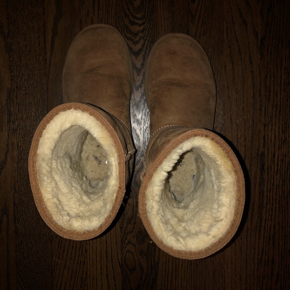 Uggs Chestnut - image 2
